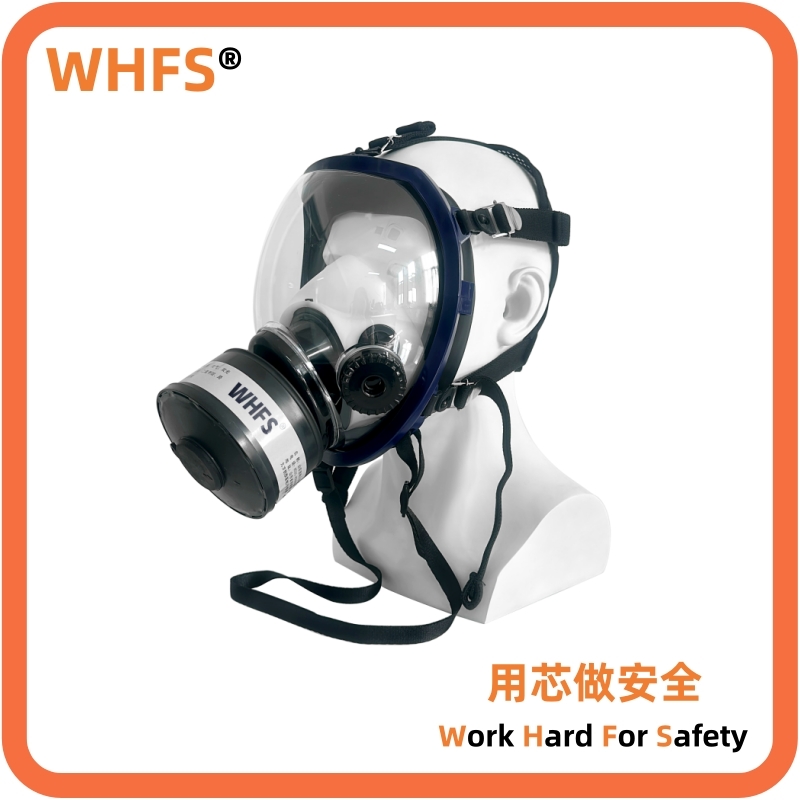 ����������ȫ����